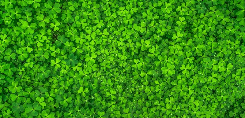 Green Goodness